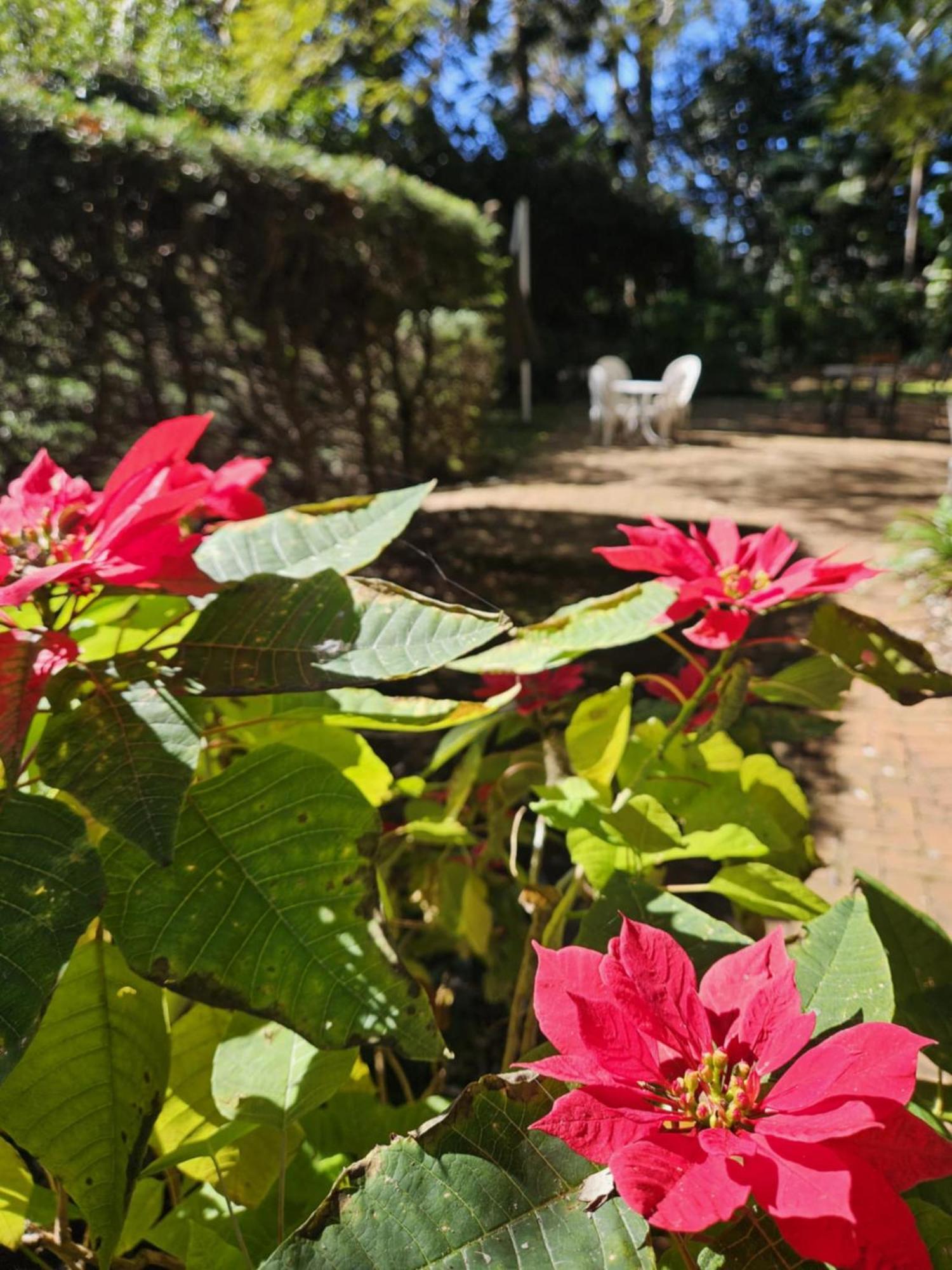 The Gamekeepers In Country house Mount Tamborine